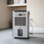 Preventing Mold Growth After Waterproofing Your Montreal Basement